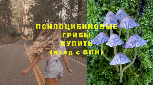 крисы Чердынь