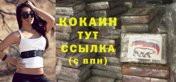 молекула духа Лихославль