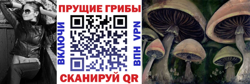 мега рабочий сайт  Заволжье  Галлюциногенные грибы Psilocybine cubensis 
