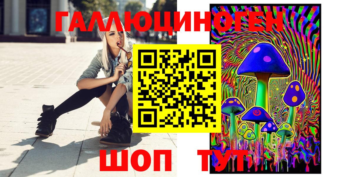 Галлюциногенные грибы Psilocybe  Вход с VPN  Заволжье 