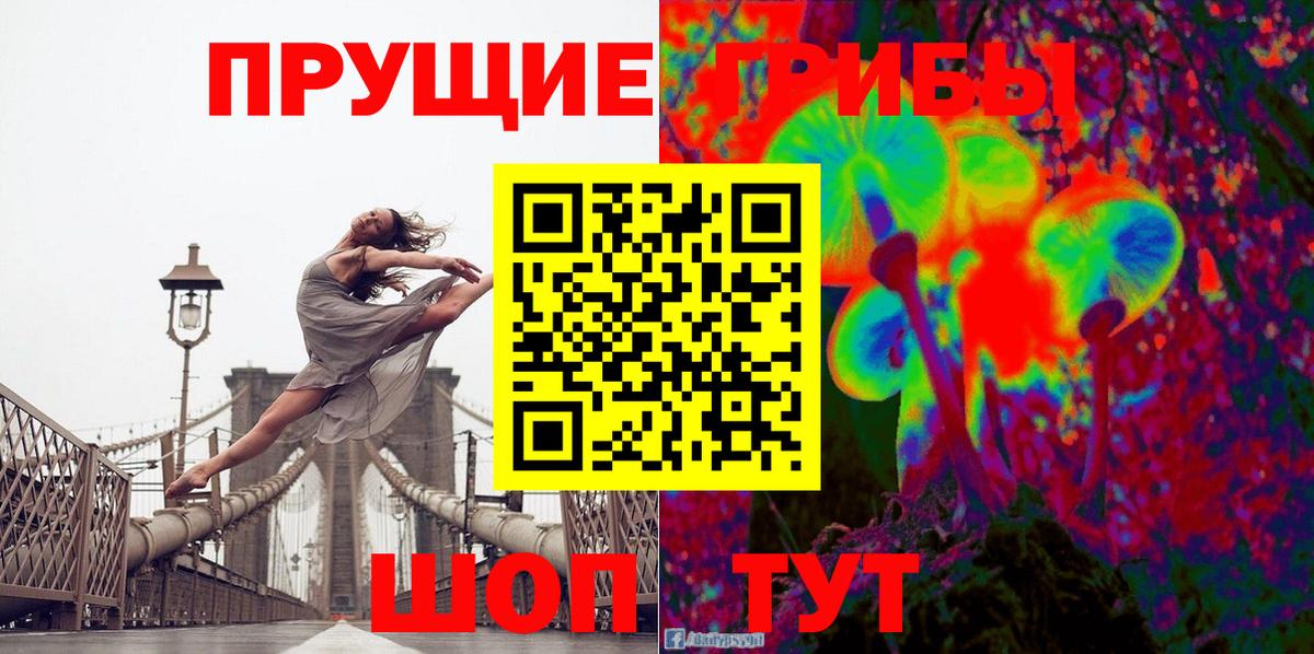 Псилоцибиновые грибы Psilocybine cubensis  Заволжье  Псилоцибиновые грибы Magic Shrooms 