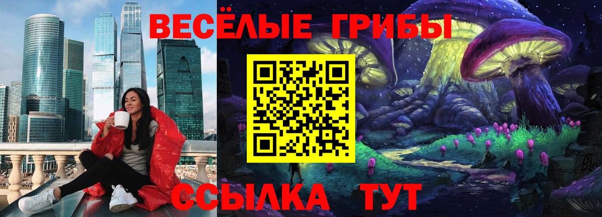 Галлюциногенные грибы мицелий Заволжье