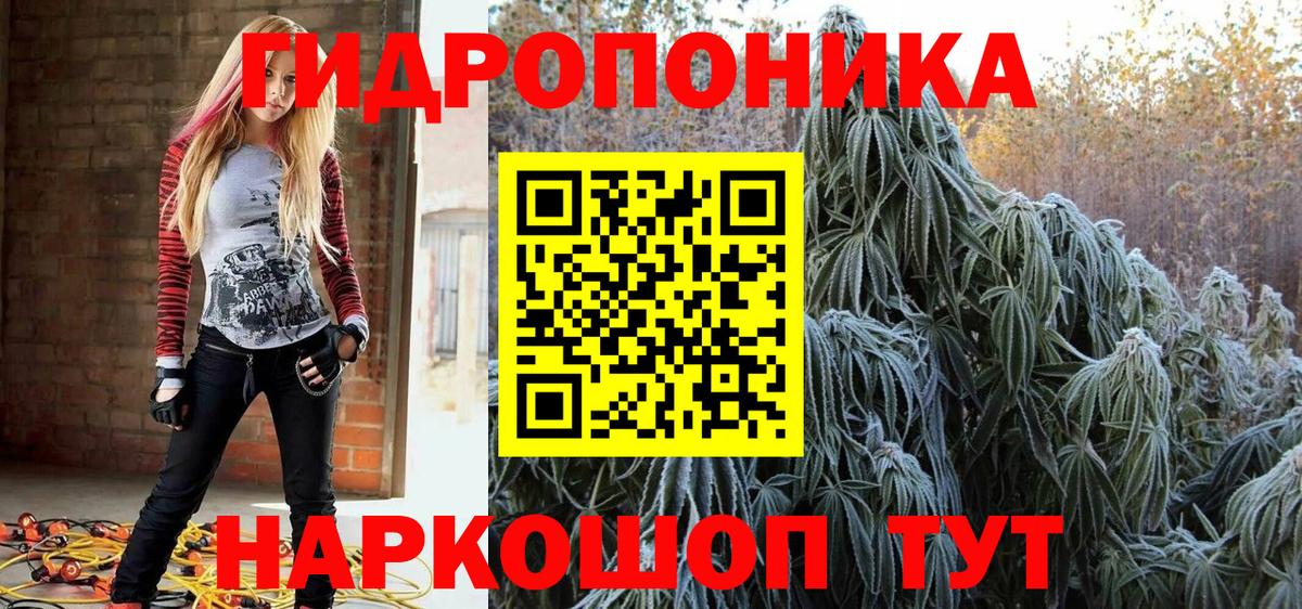 МАРИХУАНА конопля  Заволжье  Шишки марихуана White Widow  Шишки марихуана семена  МАРИХУАНА конопля 